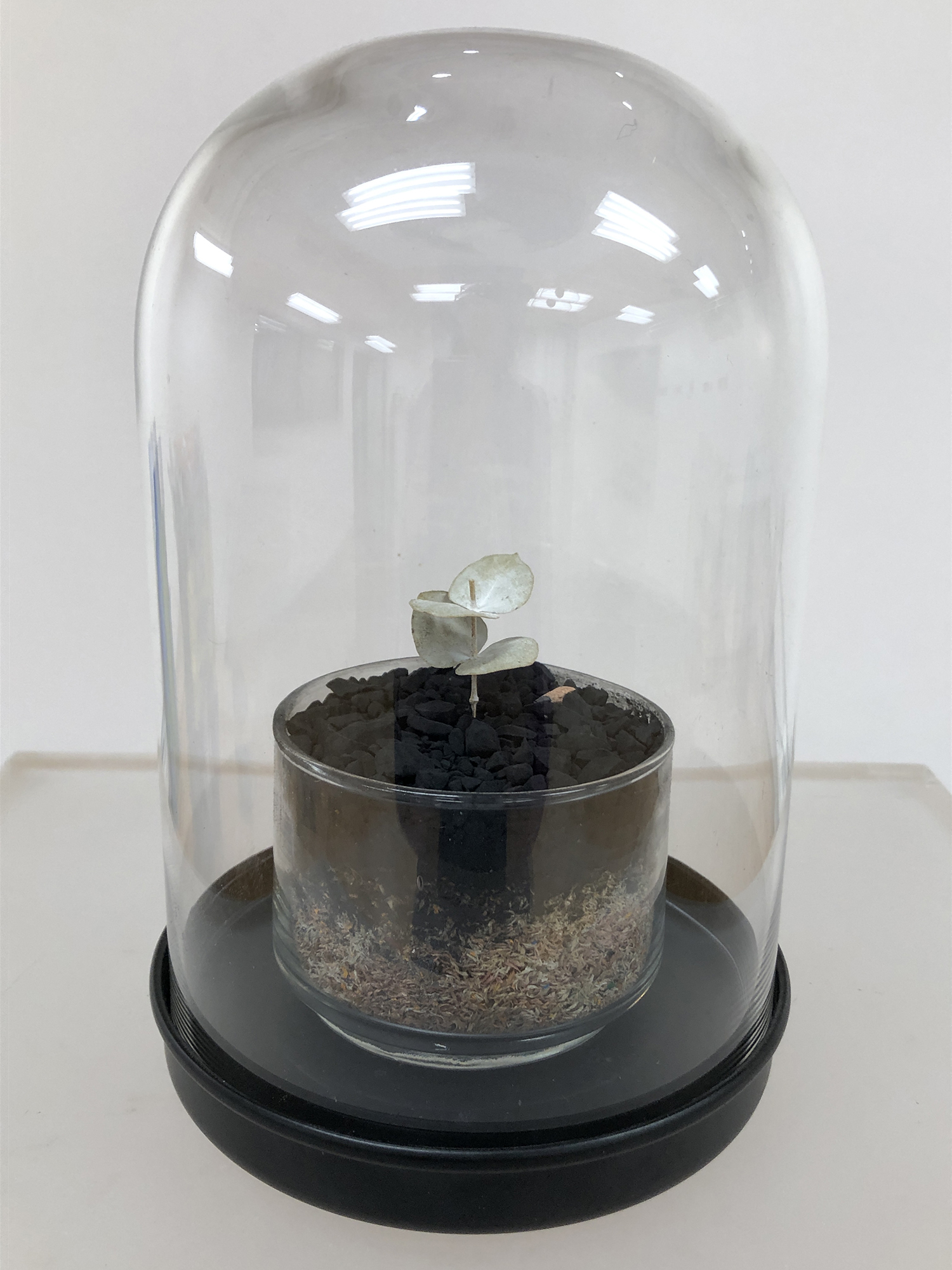 Artwork by Lars Johnson