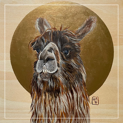 callout banner image